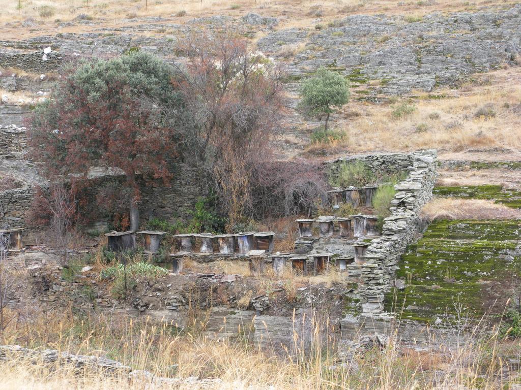 Hosteria Camino Luyego de Somoza Exteriér fotografie