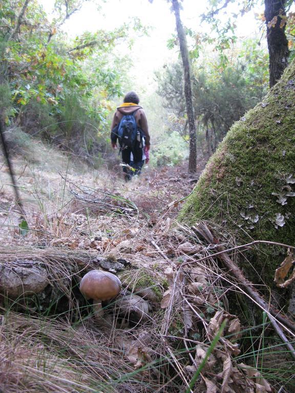 Hosteria Camino Luyego de Somoza Exteriér fotografie